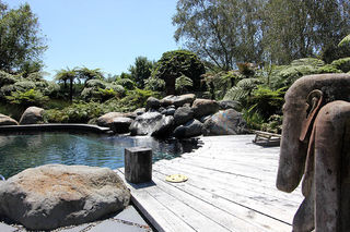 Natural Pool with Water Feature